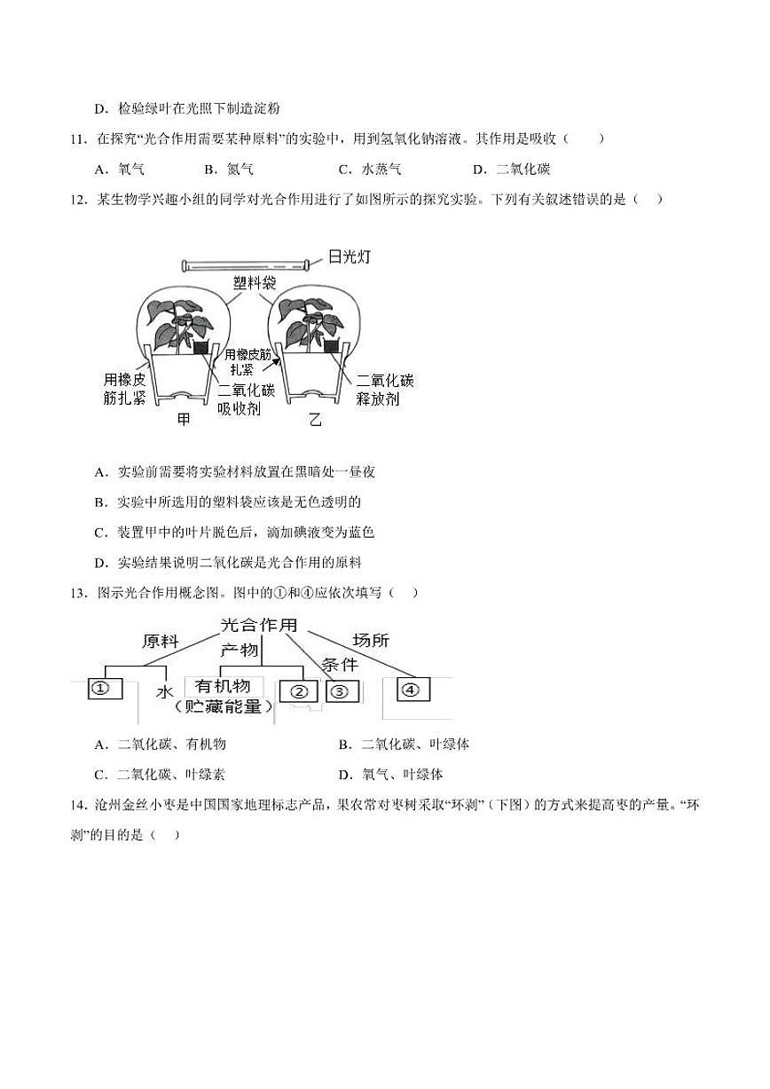 2025-2026学年江西省宜春市丰城市第九中学八年级上学期第二次段考生物（B）试卷（含答案）第3页