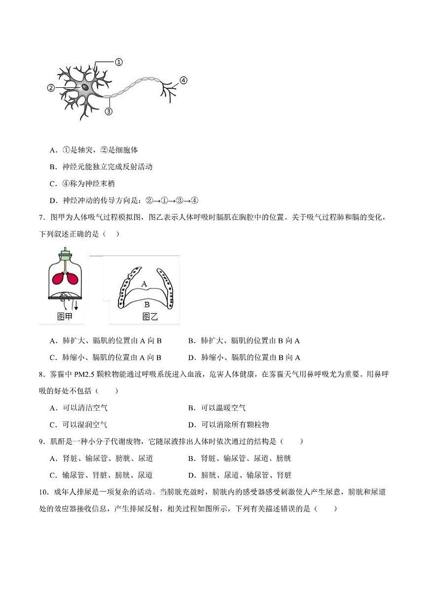 2025-2026学年甘肃省兰州市城关区多校八年级上学期期末考试生物试卷（含答案）第2页