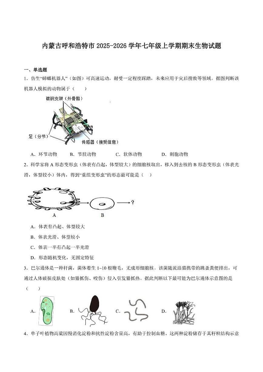 2025-2026学年内蒙古呼和浩特市七年级上学期期末考试生物试卷（含答案）第1页