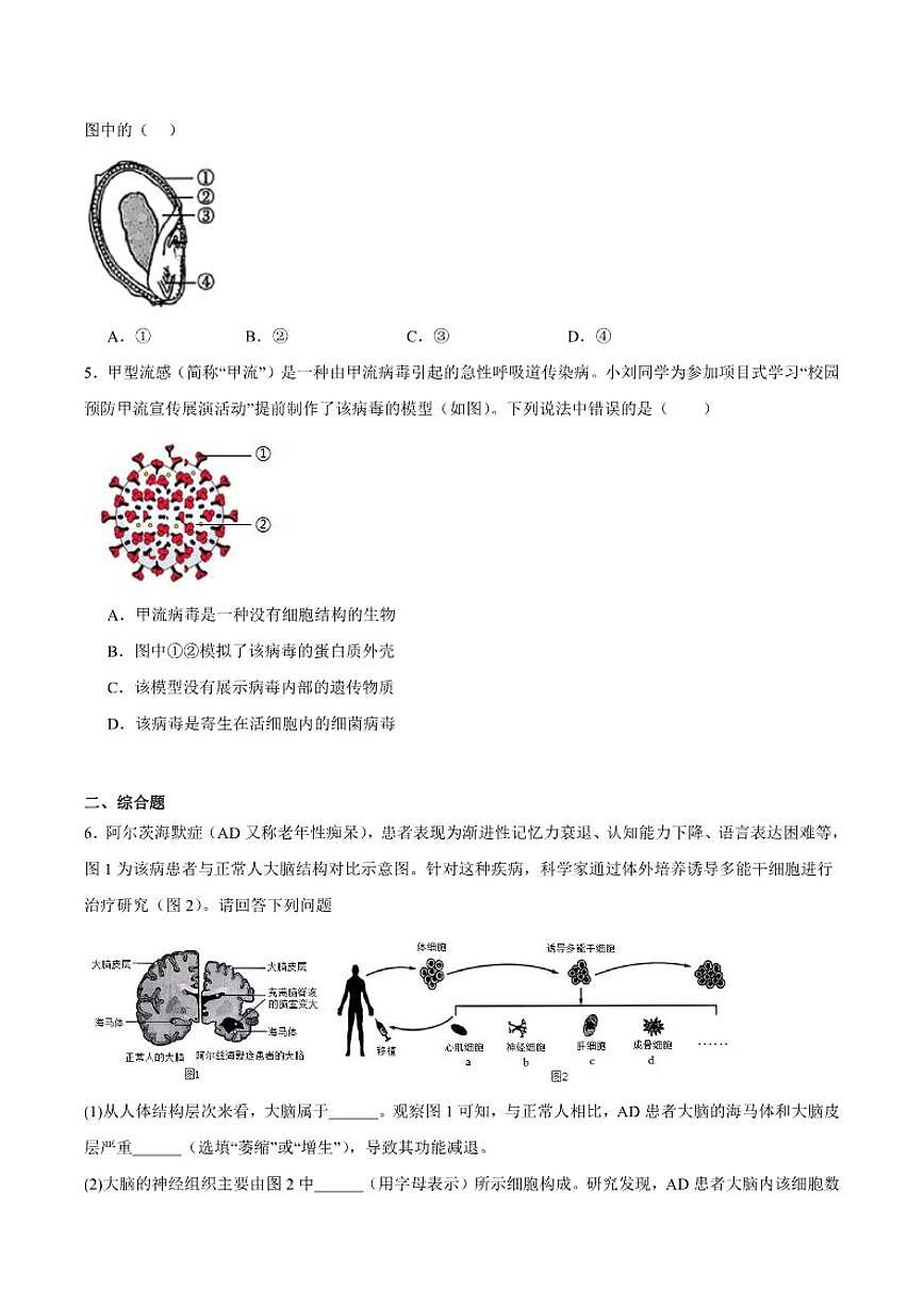 2025-2026学年内蒙古呼和浩特市七年级上学期期末考试生物试卷（含答案）第2页