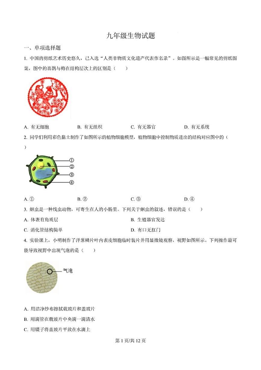 山东省菏泽市东明县三校联考2026届九年级上学期12月月考生物试卷（含答案）第1页
