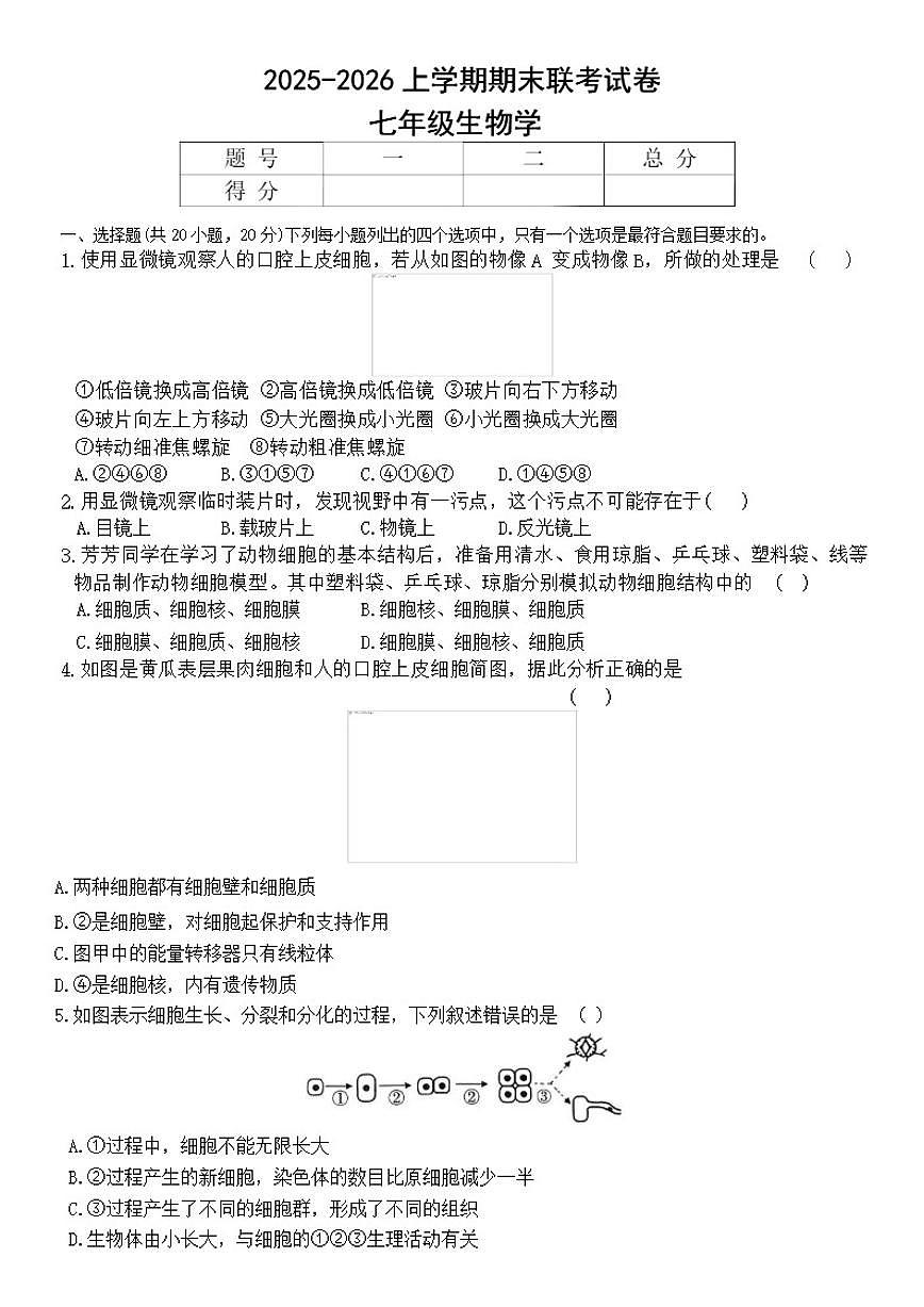 2025-2026学年上学期河南省平顶山市鲁山县第六教研区期末联考七年级生物学试卷（含答案）第1页
