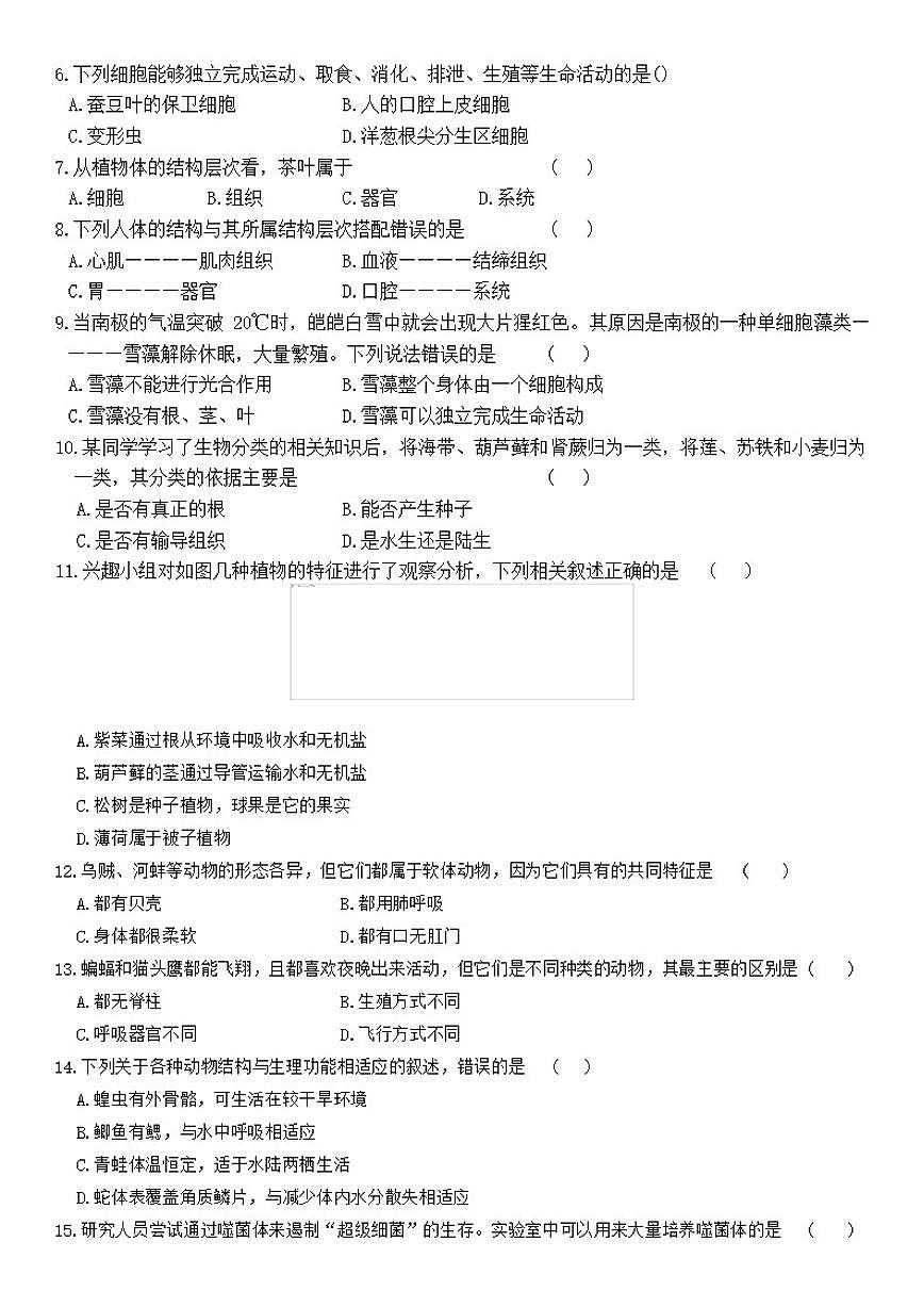 2025-2026学年上学期河南省平顶山市鲁山县第六教研区期末联考七年级生物学试卷（含答案）第2页