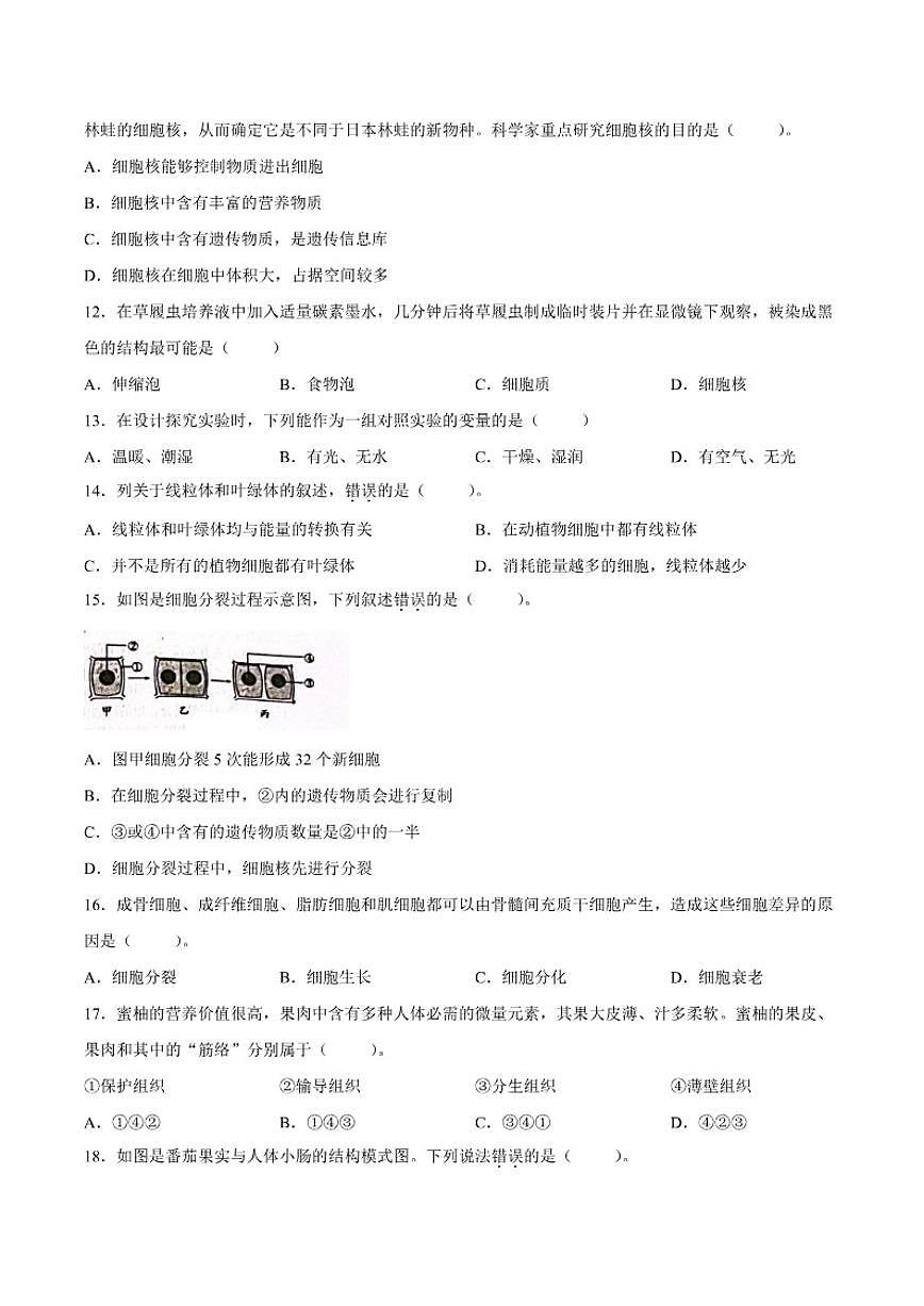 2025-2026学年广东省揭阳市惠来县七年级上学期1月期末生物试题（含答案）第3页