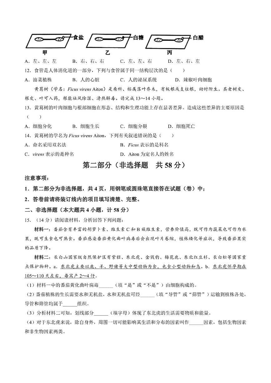 2025-2026学年陕西省渭南市蒲城县七年级上学期1月期末生物试题（含答案）第3页