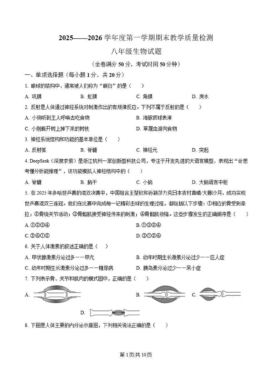 2025-2026学年吉林省吉林市永吉县八年级上学期期末考试生物试卷（含答案）第1页