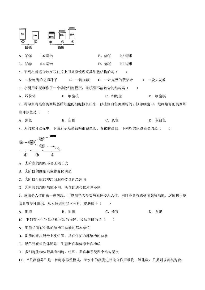 2025-2026学年云南省昆明市西山区七年级上学期1月期末生物试题（含答案）第2页