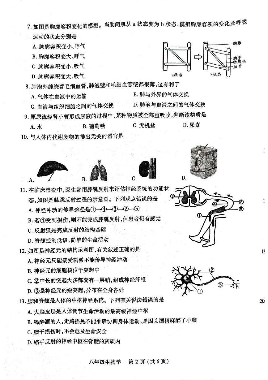 河南洛阳市伊川县2025-2026学年第一学期期末质量调研检测 八年级生物学试卷第2页