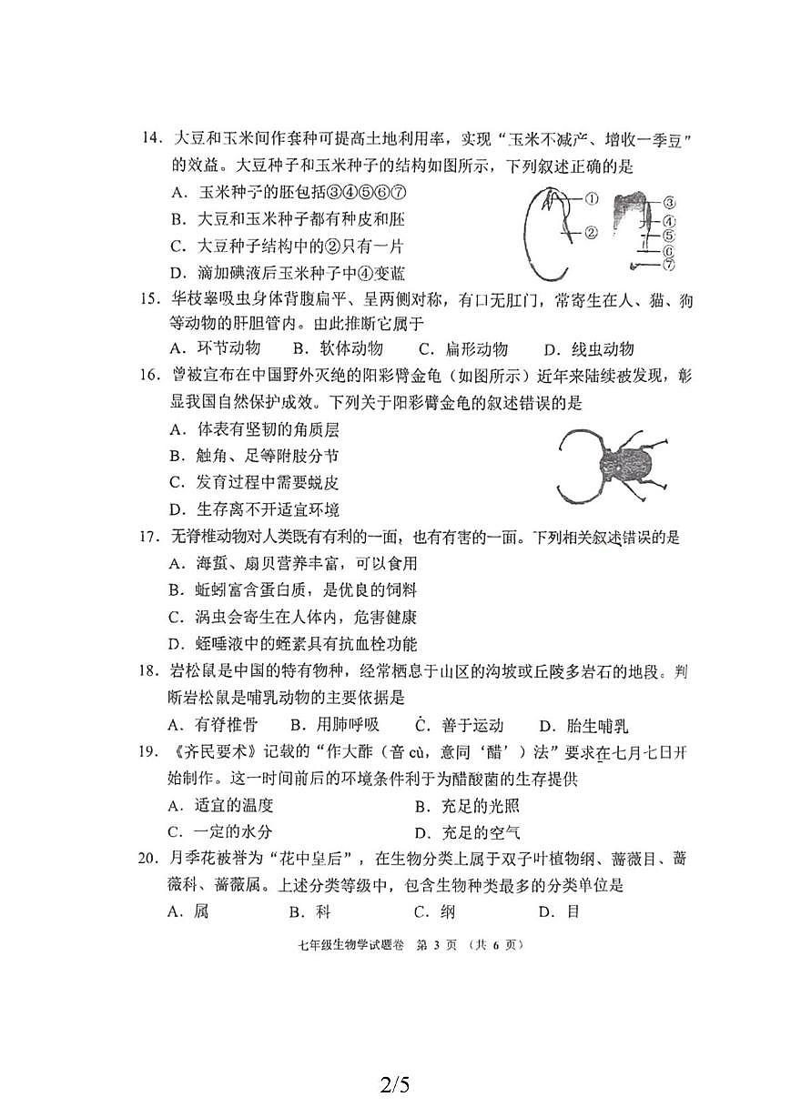 河南郑州市金水一中2025-2026学年七年级上学期期末生物考试试卷第2页