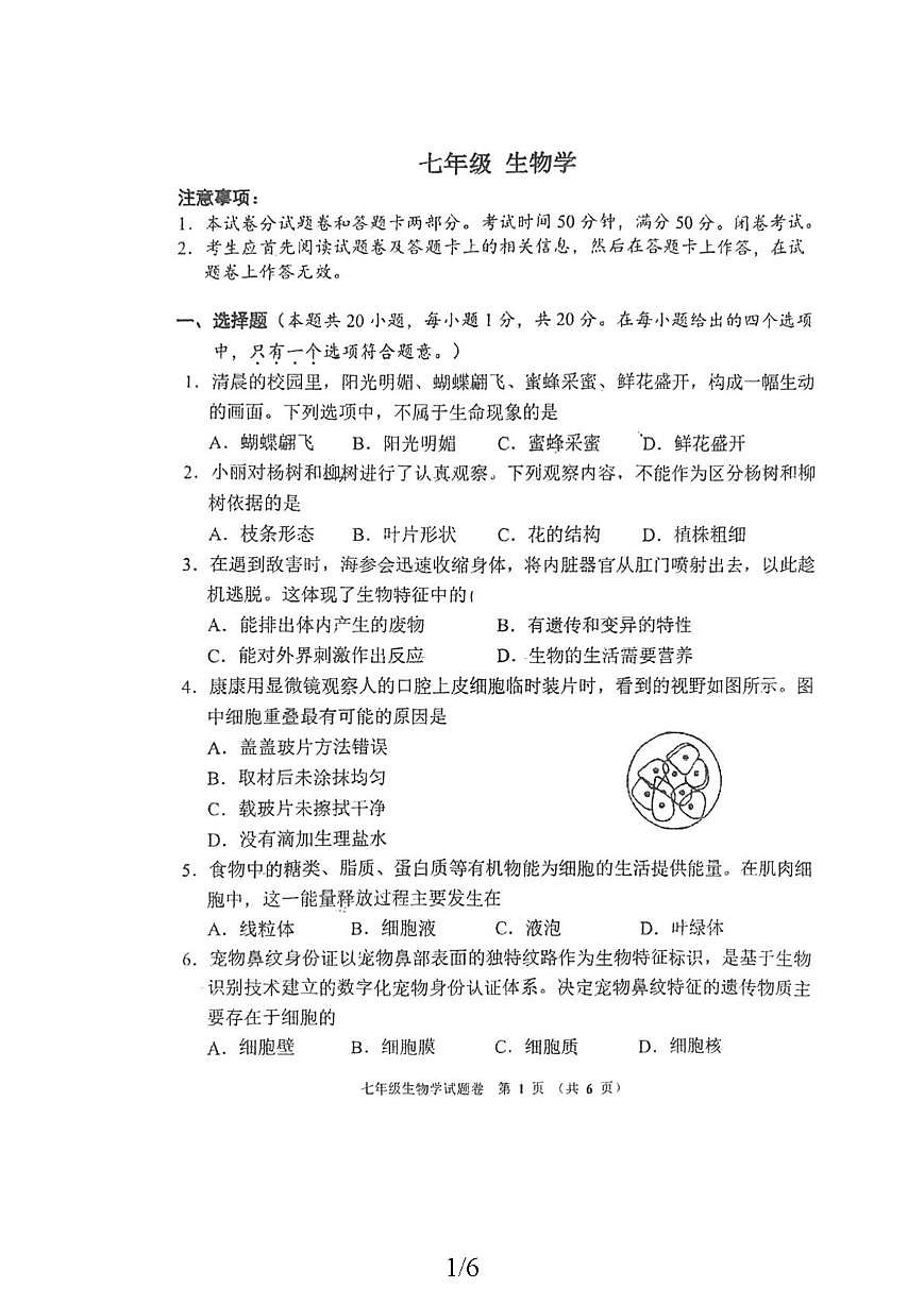 河南郑州市金水一中2025-2026学年七年级上学期期末生物试卷第1页