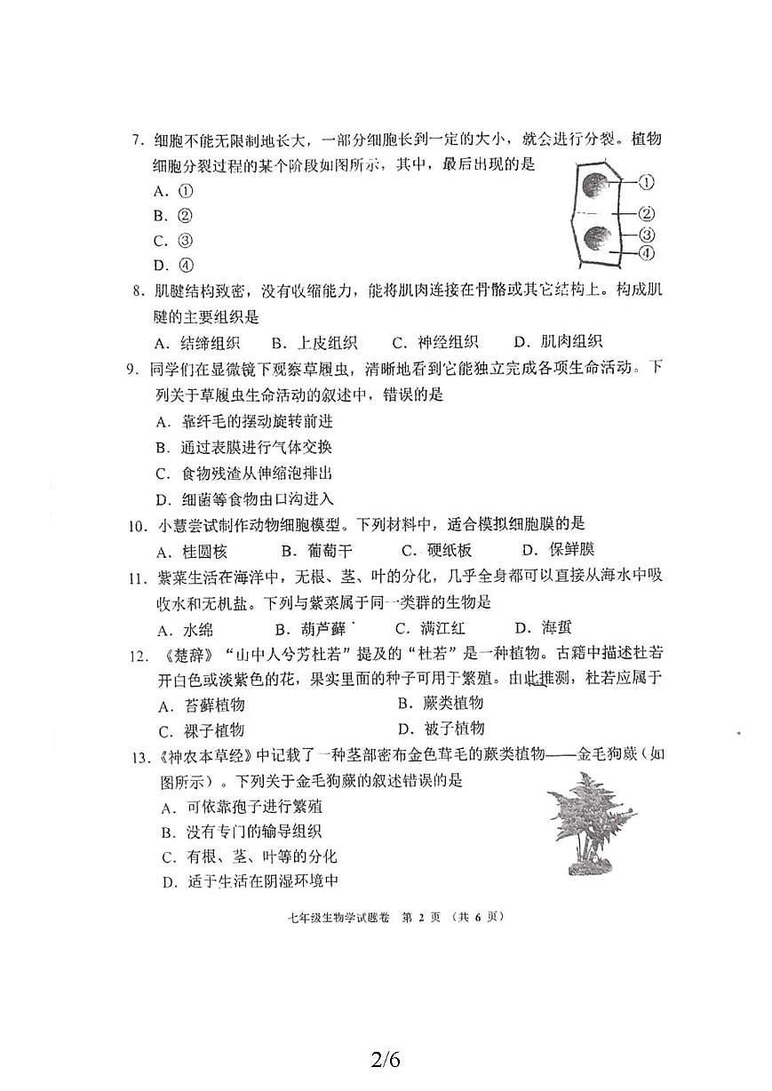河南郑州市金水一中2025-2026学年七年级上学期期末生物试卷第2页