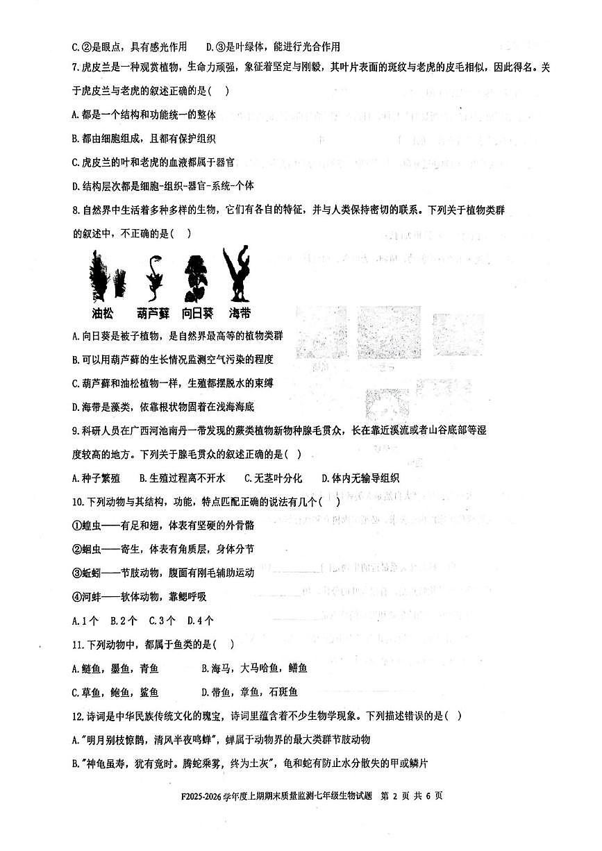 河南周口市扶沟县2025-2026学年度上学期期末质量监测七年级生物试题第2页