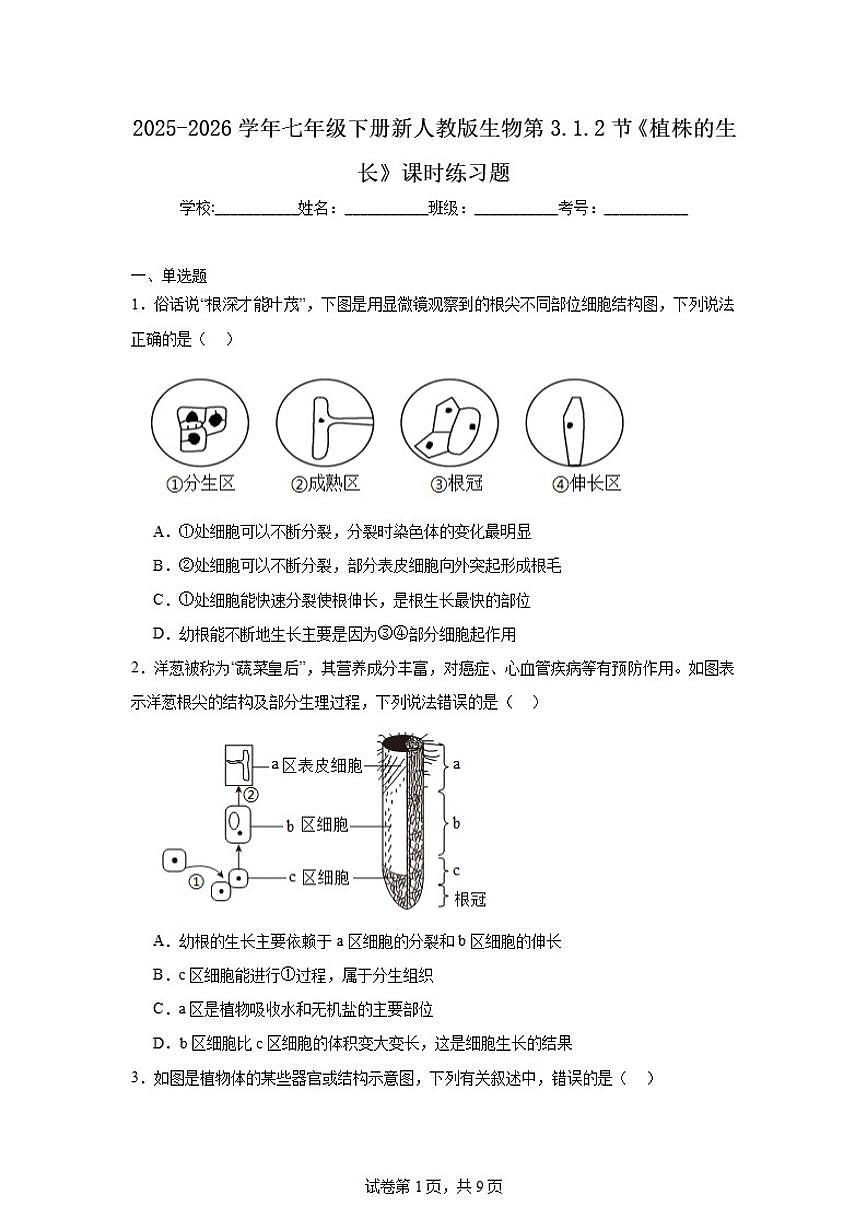 2025-2026学年七年级下册新人教版生物第3.1.2节《植株的生长》课时练习题（含答案）第1页