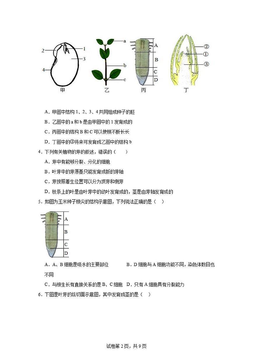 2025-2026学年七年级下册新人教版生物第3.1.2节《植株的生长》课时练习题（含答案）第2页