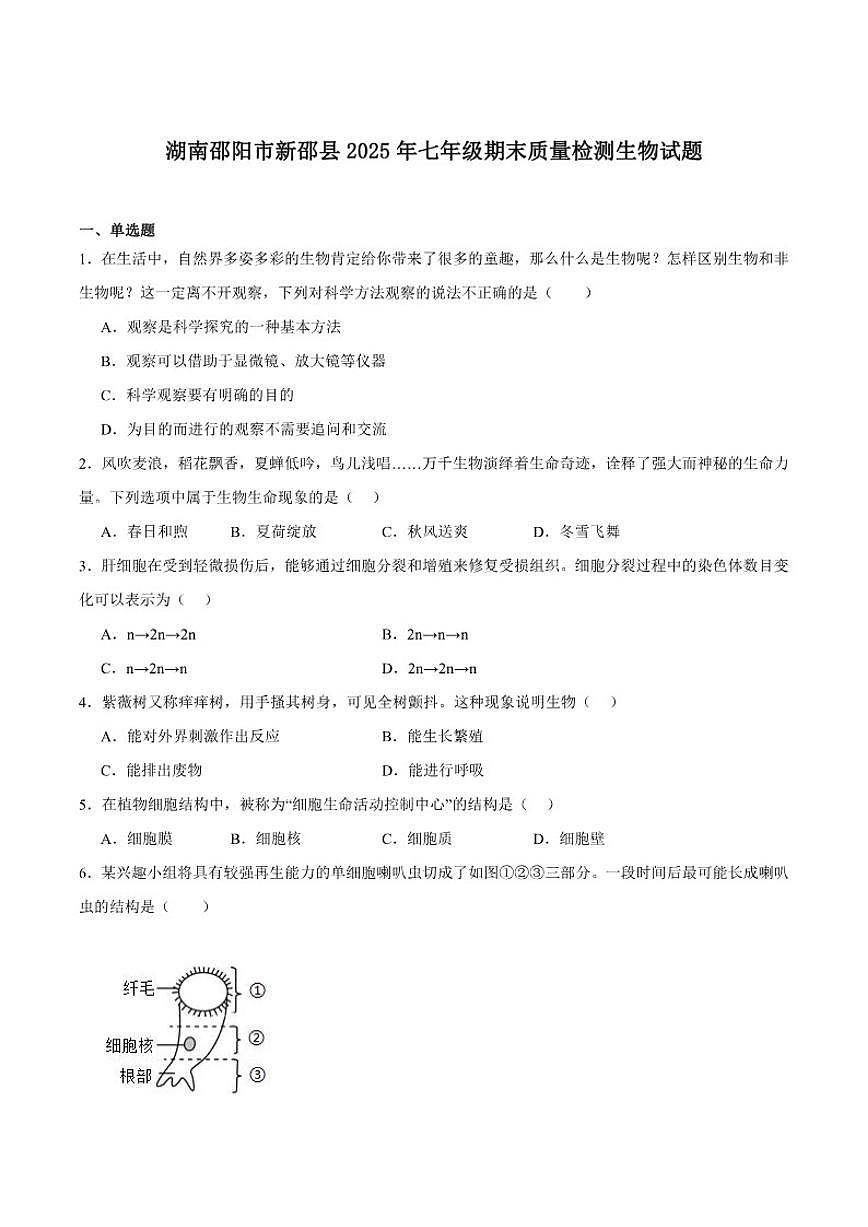 2025-2026学年湖南省邵阳市新邵县七年级上学期1月期末质量检测生物试卷（含答案）第1页