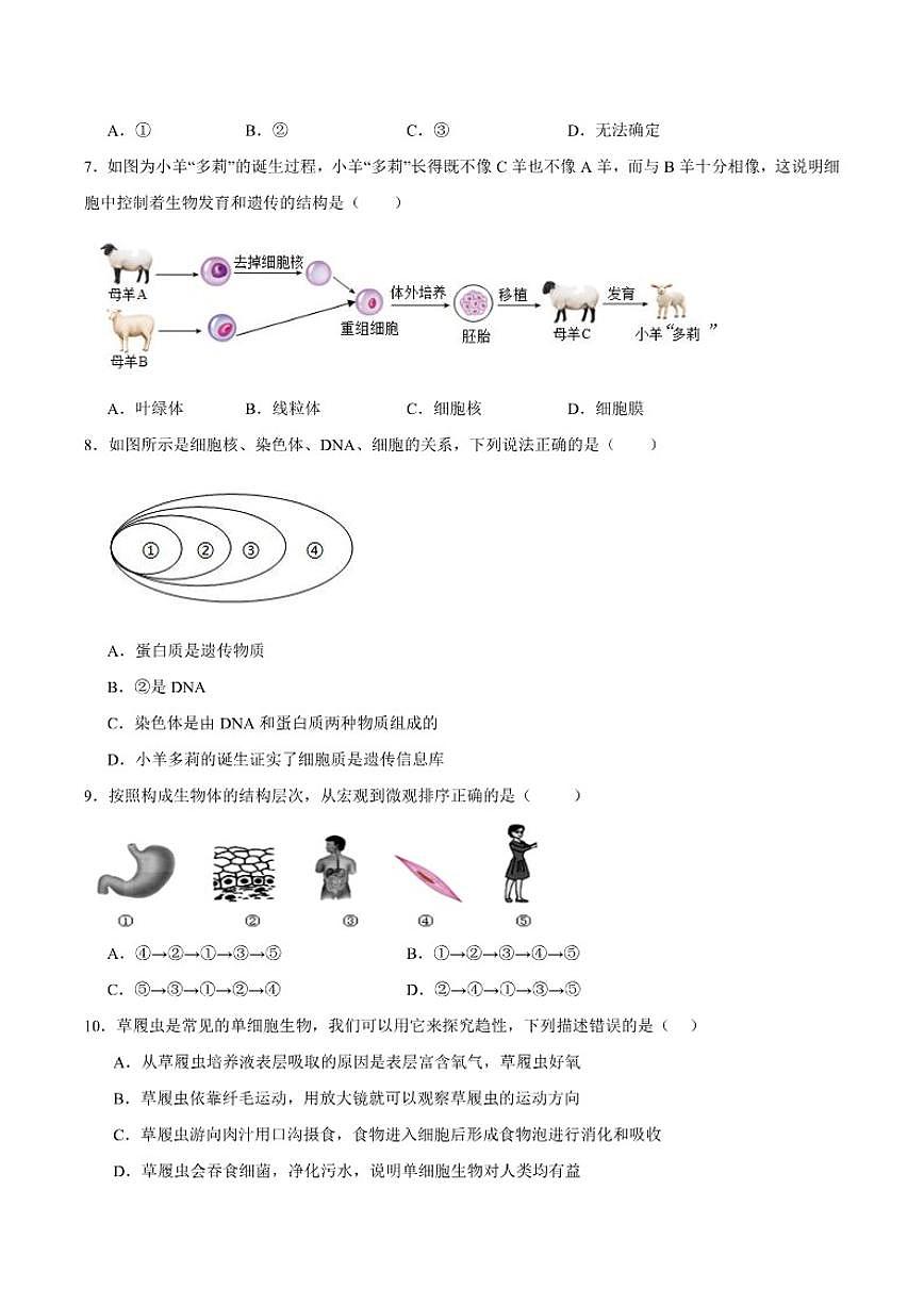 2025-2026学年湖南省邵阳市新邵县七年级上学期1月期末质量检测生物试卷（含答案）第2页