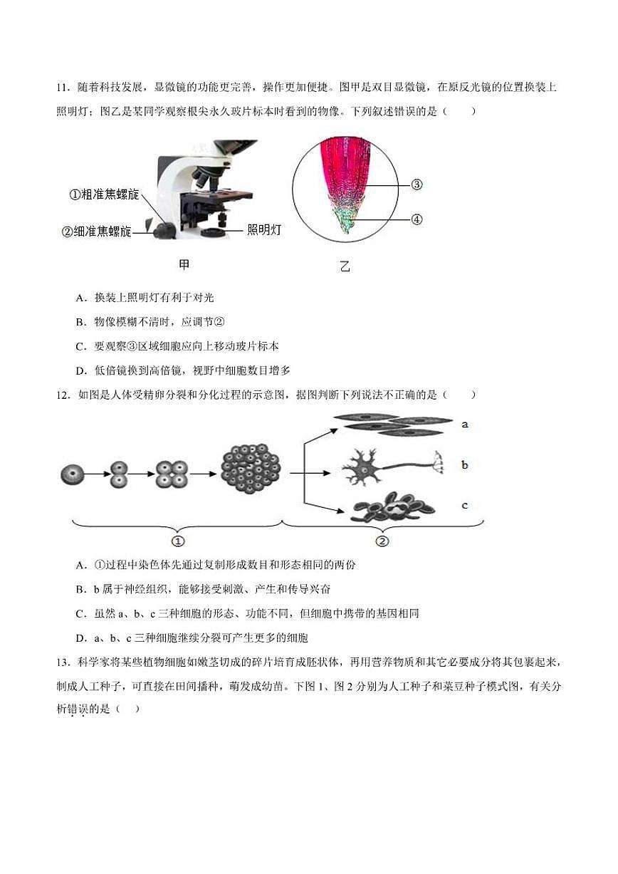2025-2026学年湖南省邵阳市新邵县七年级上学期1月期末质量检测生物试卷（含答案）第3页