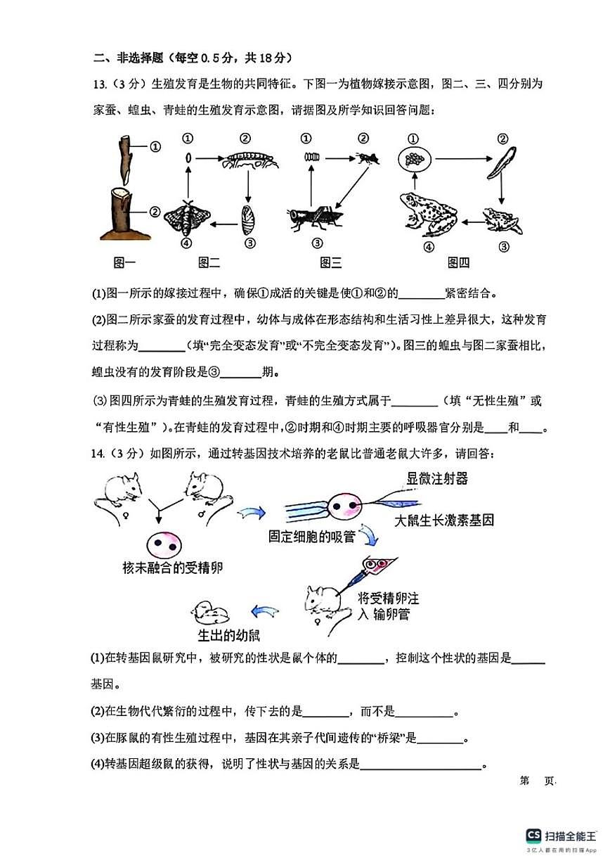 2024-2025学年辽宁省盘锦市双台子区第一中学八年级第二学期学情反馈期末生物测试卷（含答案）第3页