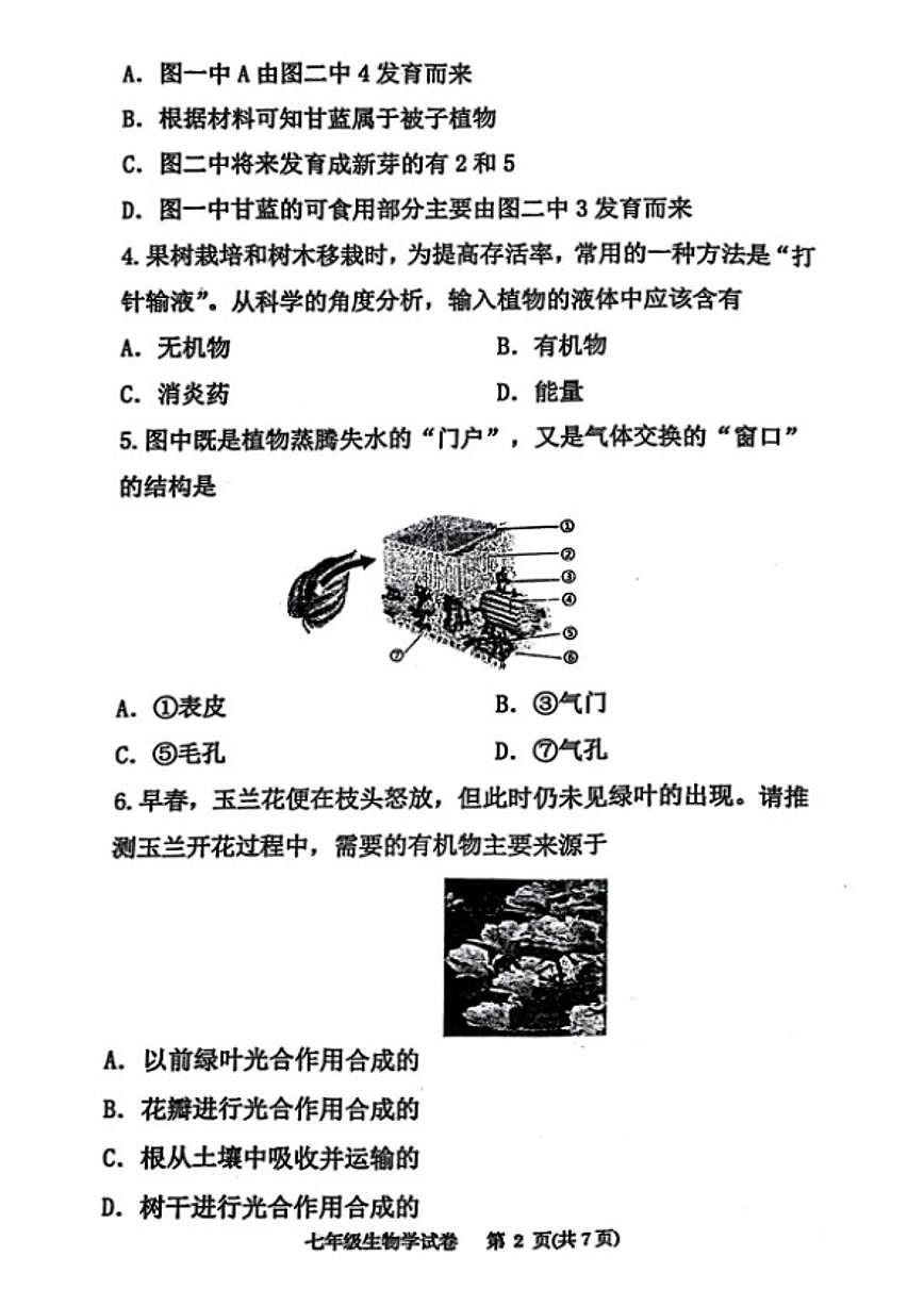 2024-2025学年辽宁省丹东市东港市七下期中生物试卷（含答案）第2页