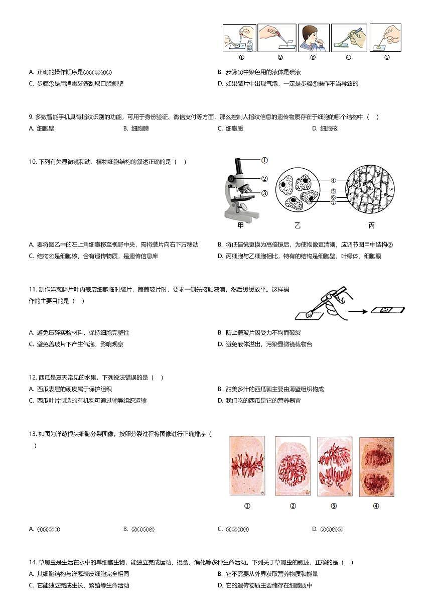 2025~2026学年山东菏泽成武县初一上学期期中生物试卷（有答案解析）第2页