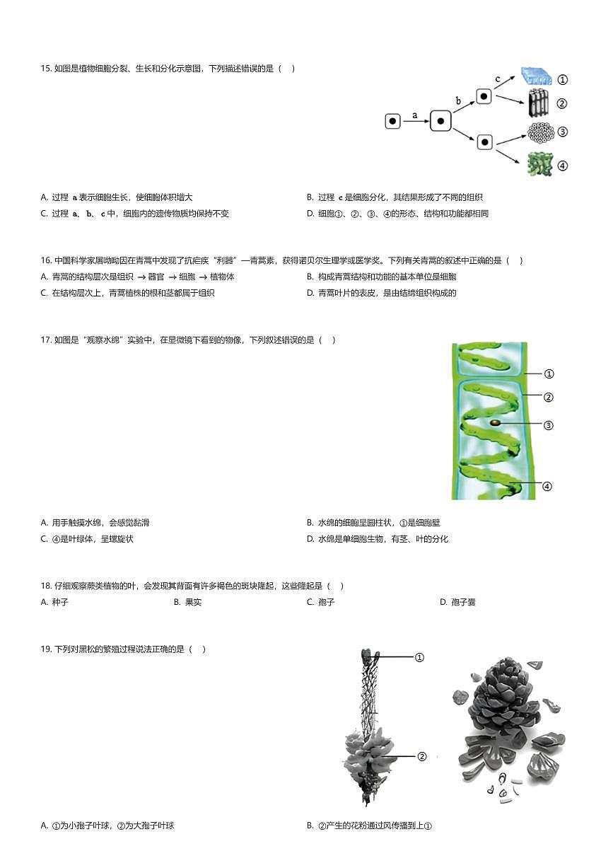 2025~2026学年山东菏泽成武县初一上学期期中生物试卷（有答案解析）第3页
