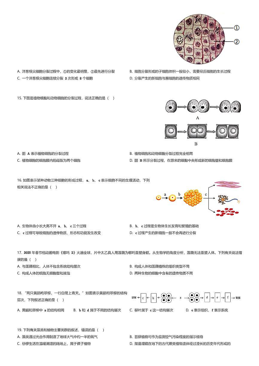 2025~2026学年山东济南历城区初一上学期期中生物试卷（有答案解析）第3页