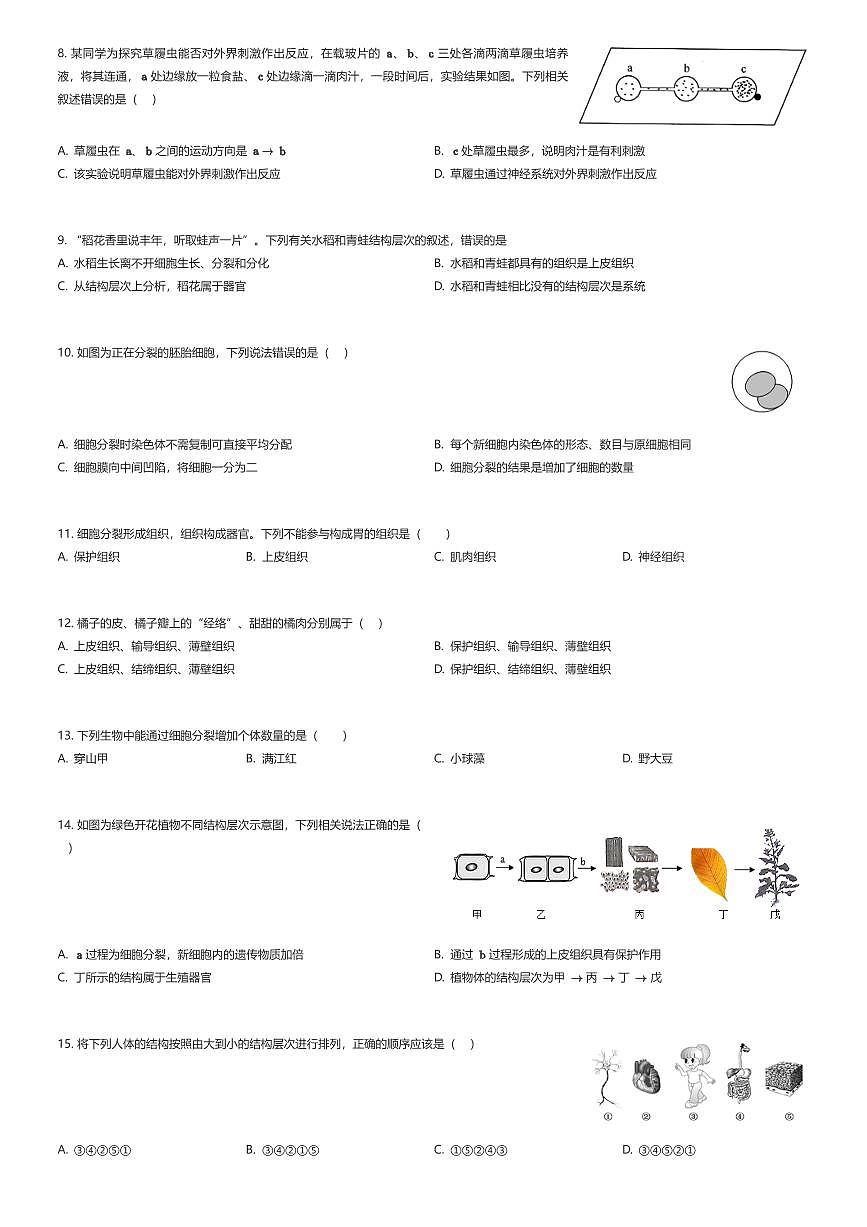 2025~2026学年山东济南天桥区初一上学期期中生物试卷（有答案解析）第2页