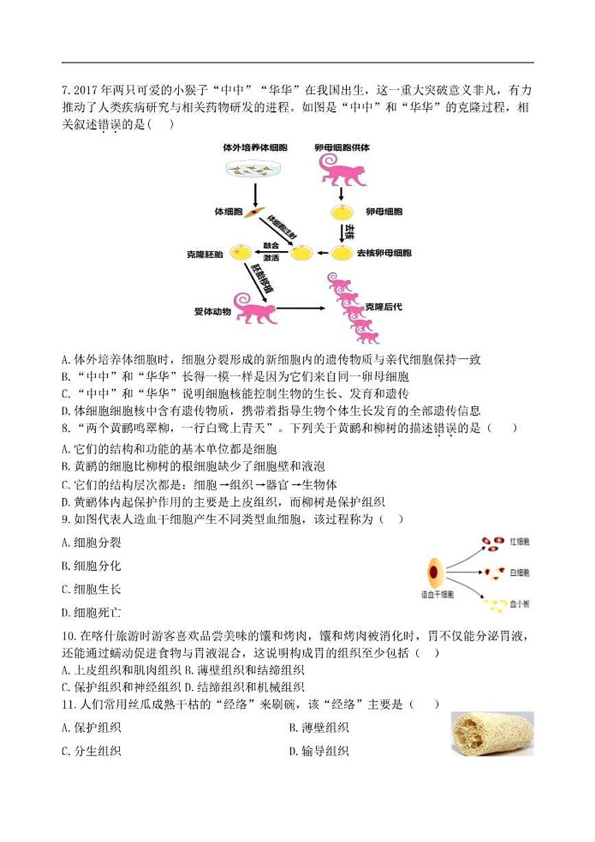 2025-2026学年新疆维吾尔自治区喀什地区七年级上学期期末生物试题（含答案）第2页