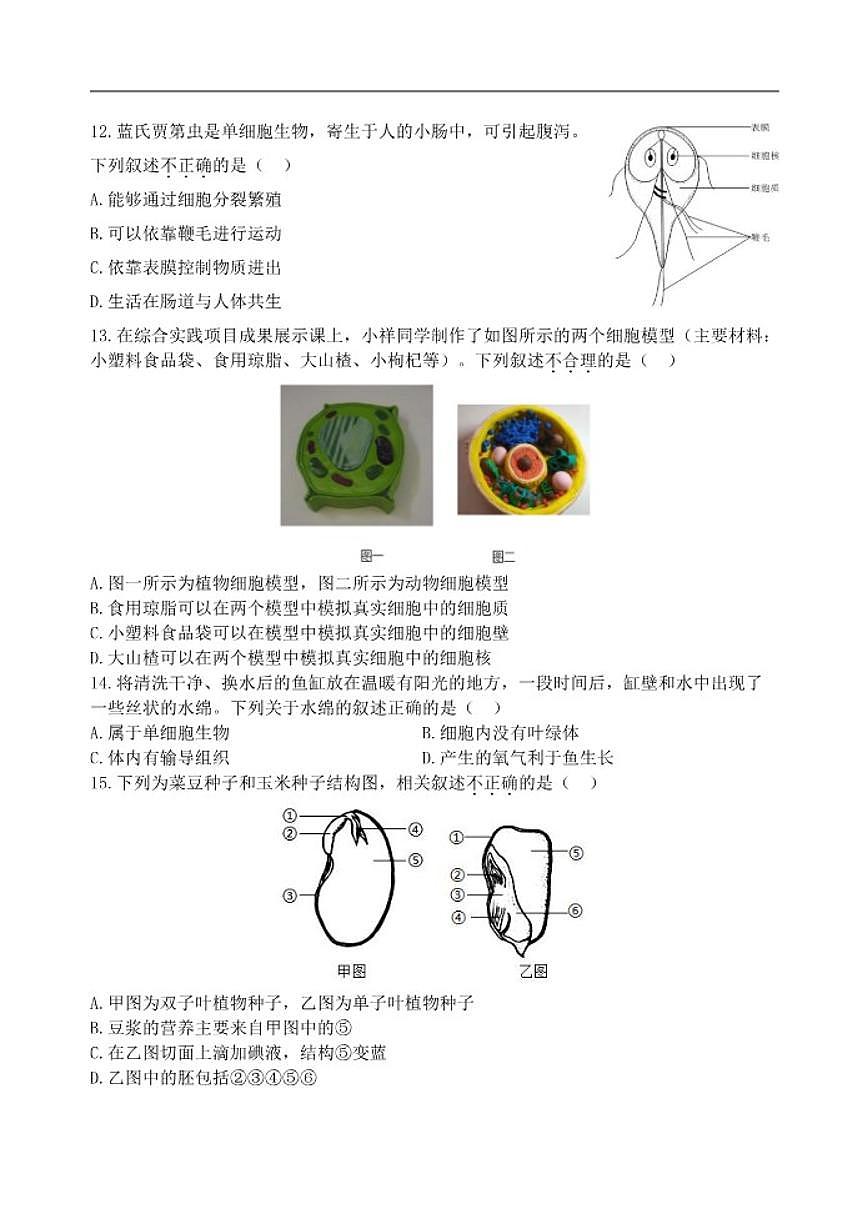2025-2026学年新疆维吾尔自治区喀什地区七年级上学期期末生物试题（含答案）第3页