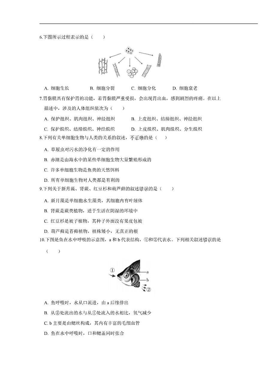 2025-2026学年辽宁省大连市多校联考七年级上学期12月月考生物试卷（含答案）第3页