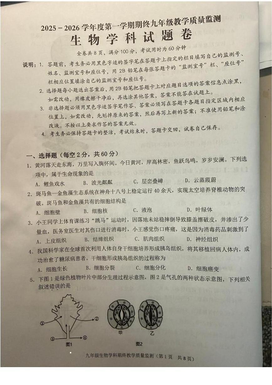 2025-2026学年广东省揭阳市普宁市九年级上学期1月期末生物_(含答案_)试题第1页