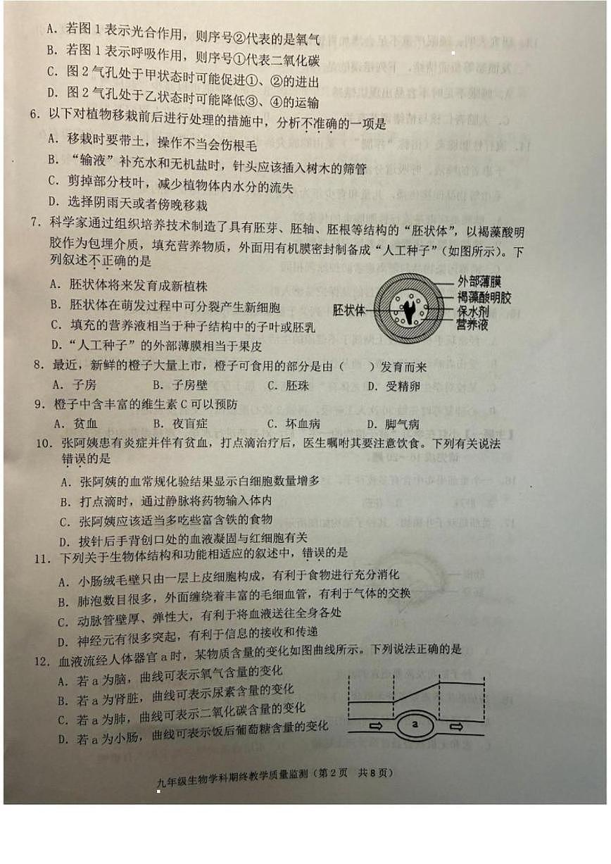 2025-2026学年广东省揭阳市普宁市九年级上学期1月期末生物_(含答案_)试题第2页