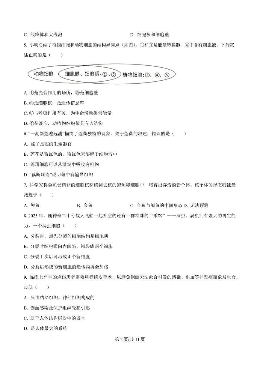 2025-2026学年内蒙古包头市昆都仑区七年级上学期期末考试生物试卷（含答案）第3页