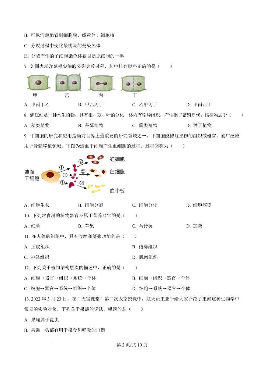 2025-2026学年辽宁省锦州市七年级上学期1月期末考试生物试卷（含答案）第3页