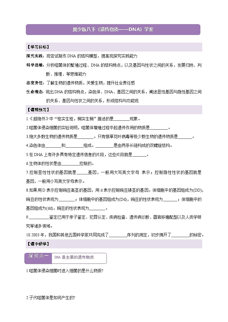 6.2.2遗传物质——DNA 学案--冀少版（2024）生物八年级下册第1页