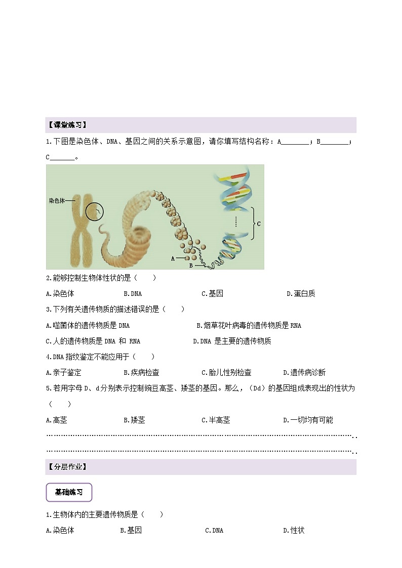 6.2.2遗传物质——DNA 学案--冀少版（2024）生物八年级下册第3页
