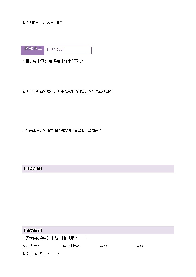 6.2.4人的性别决定  学案--冀少版（2024）生物八年级下册第2页