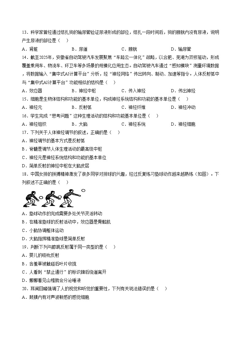 甘肃省张掖市甘州区第一中学2025_2026学年八年级上学期1月期末生物试题（文字版，含答案）第3页