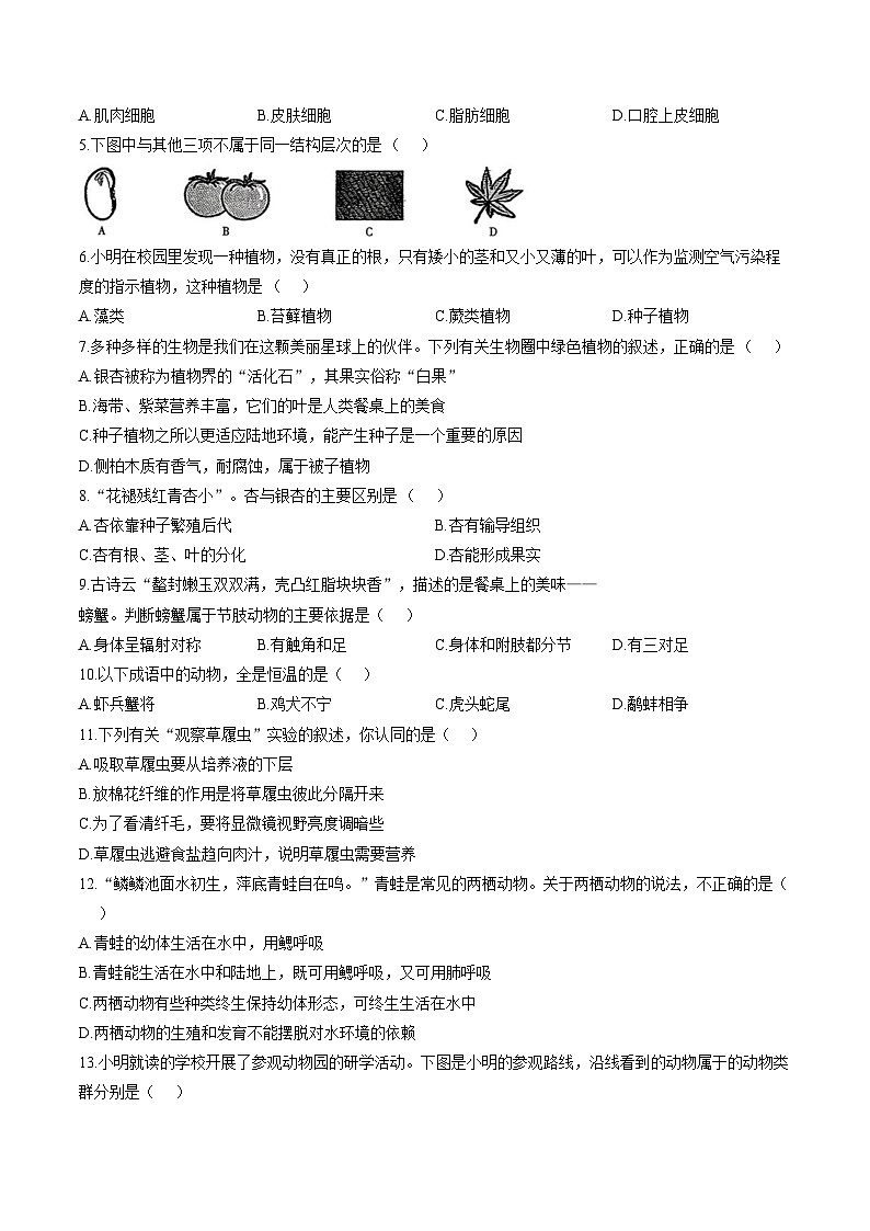 黑龙江省佳木斯市富锦市多校联考2025_2026学年七年级上学期1月期末生物试题（文字版，含答案）第2页