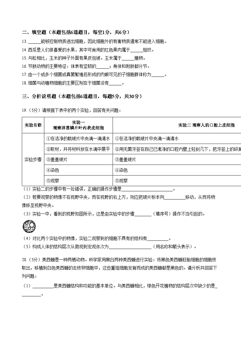 甘肃省定西市2025_2026学年七年级上学期期末考试生物试卷（文字版，含答案）第3页
