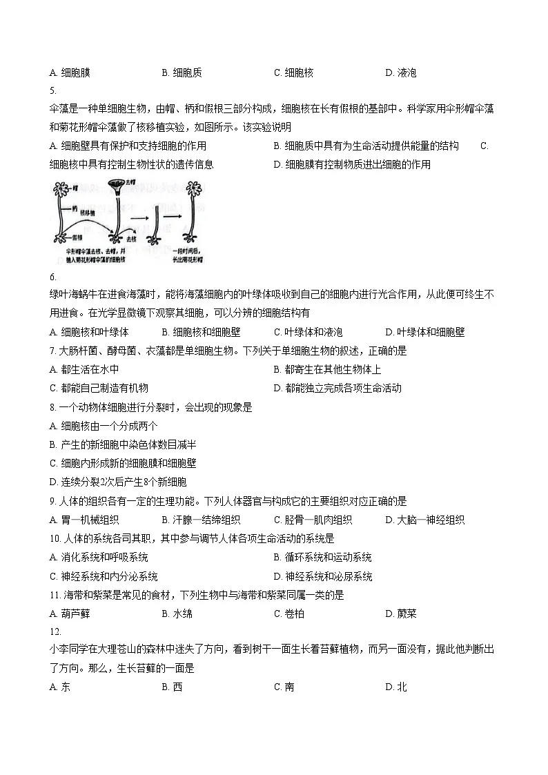云南省大理州大理市2024_2025学年七年级上学期期末生物试卷（文字版，含答案）第2页
