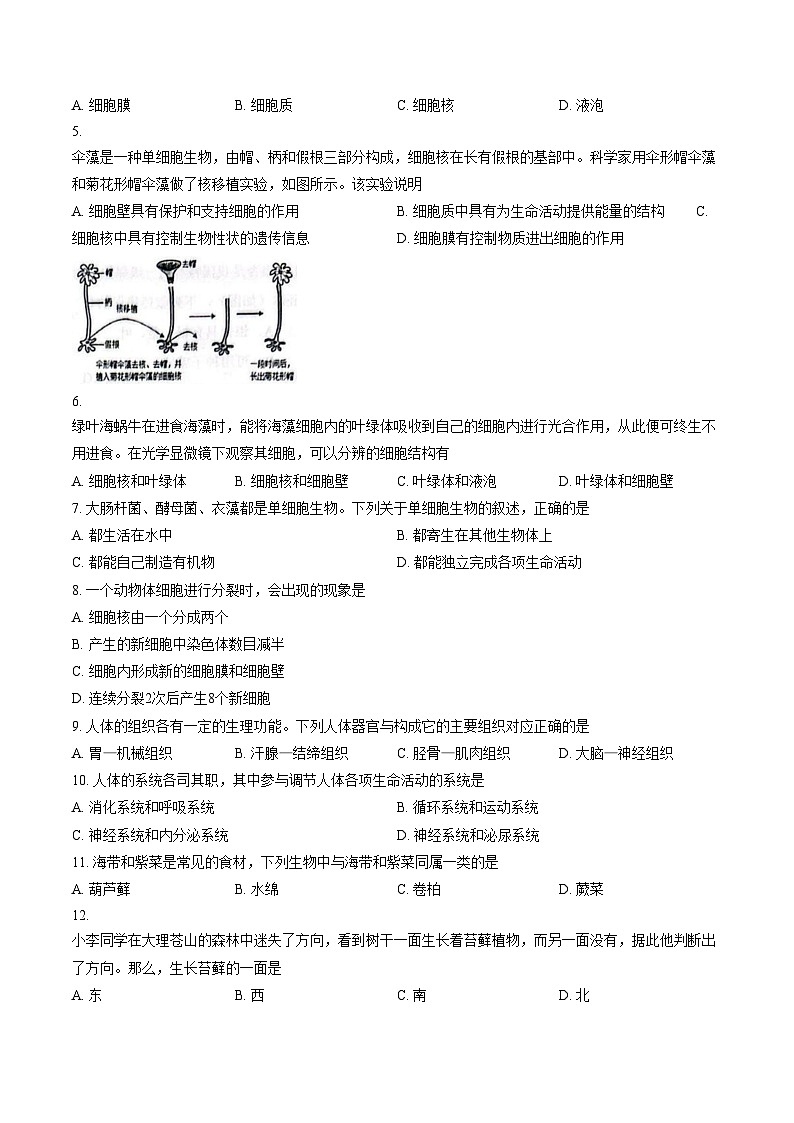 云南省大理州大理市2024_2025学年七年级上学期期末生物试卷（文字版，含答案）第2页