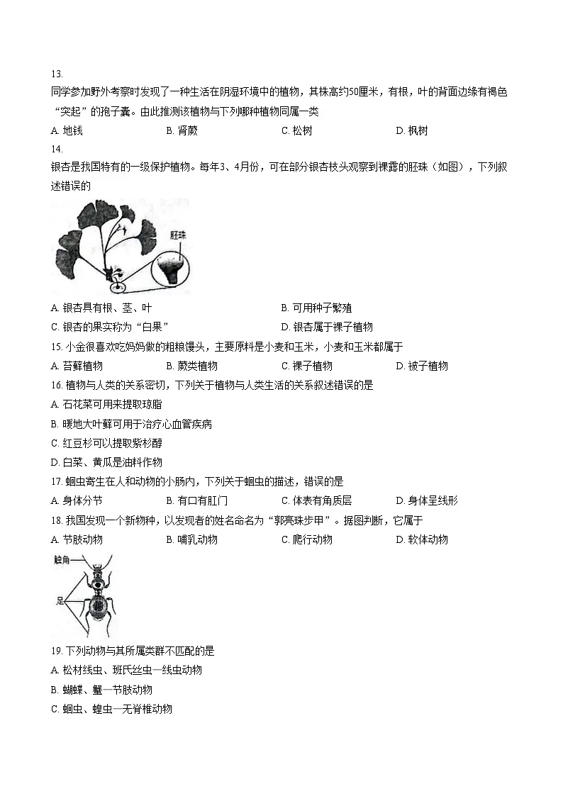 云南省大理州大理市2024_2025学年七年级上学期期末生物试卷（文字版，含答案）第3页