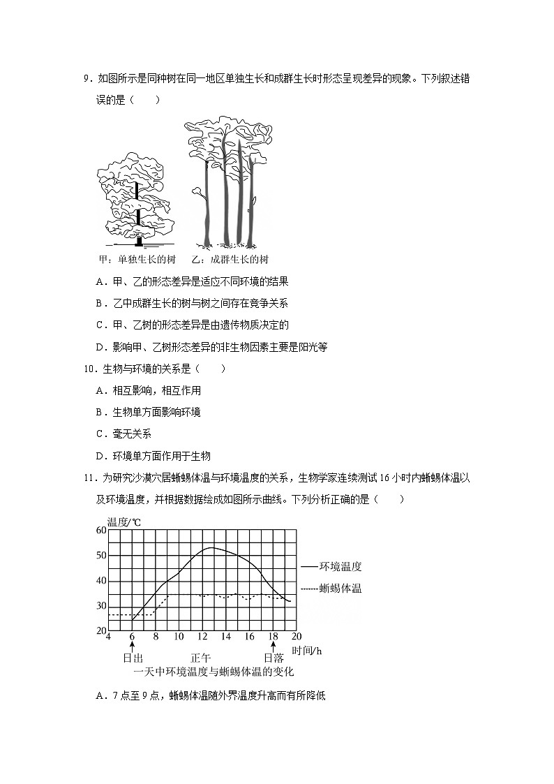 第7章第1节  生态系统的构成 2025-2026学年七年级下初中生物同步复习讲义（苏教版2024）（原卷版）第3页