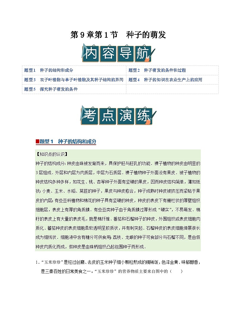 第9章第1节  种子的萌发 2025-2026学年七年级下初中生物同步复习讲义（苏教版2024）（解析版）第1页