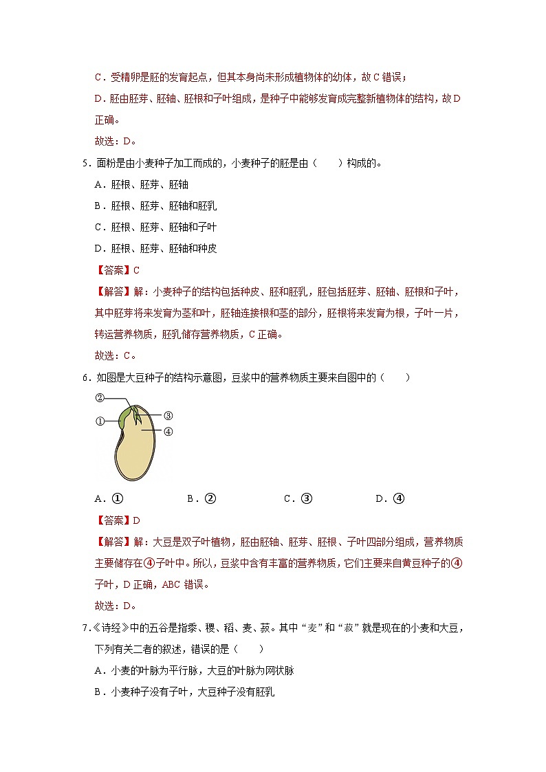 第9章第1节  种子的萌发 2025-2026学年七年级下初中生物同步复习讲义（苏教版2024）（解析版）第3页