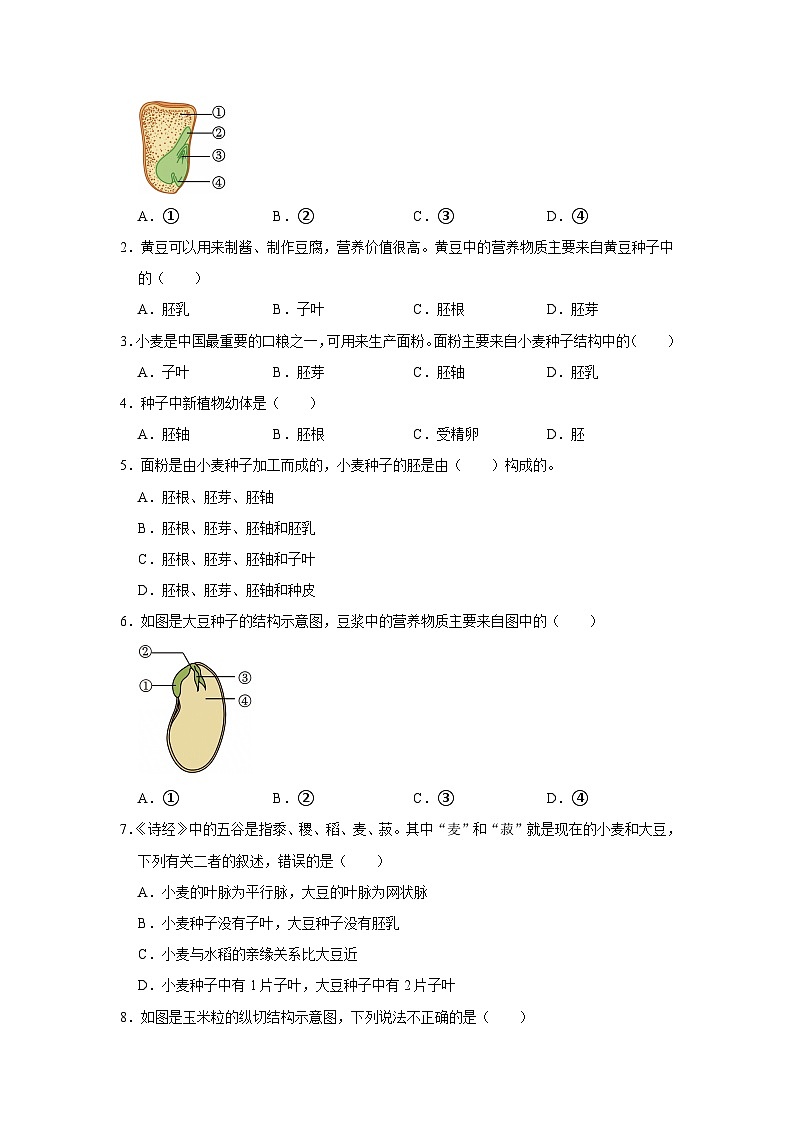 第9章第1节  种子的萌发 2025-2026学年七年级下初中生物同步复习讲义（苏教版2024）（原卷版）第2页