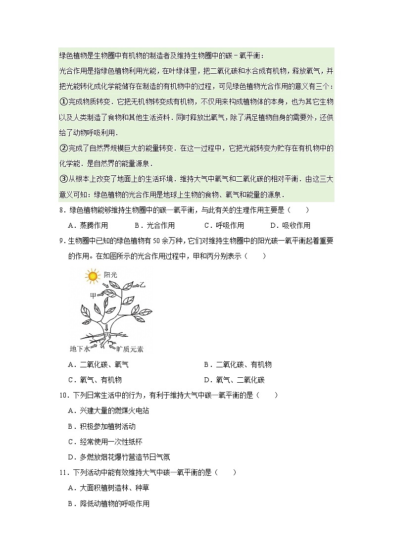 第11章第4节  植物在生物圈的重要作用 2025-2026学年七年级下初中生物同步复习讲义（苏教版2024）（原卷版）第3页