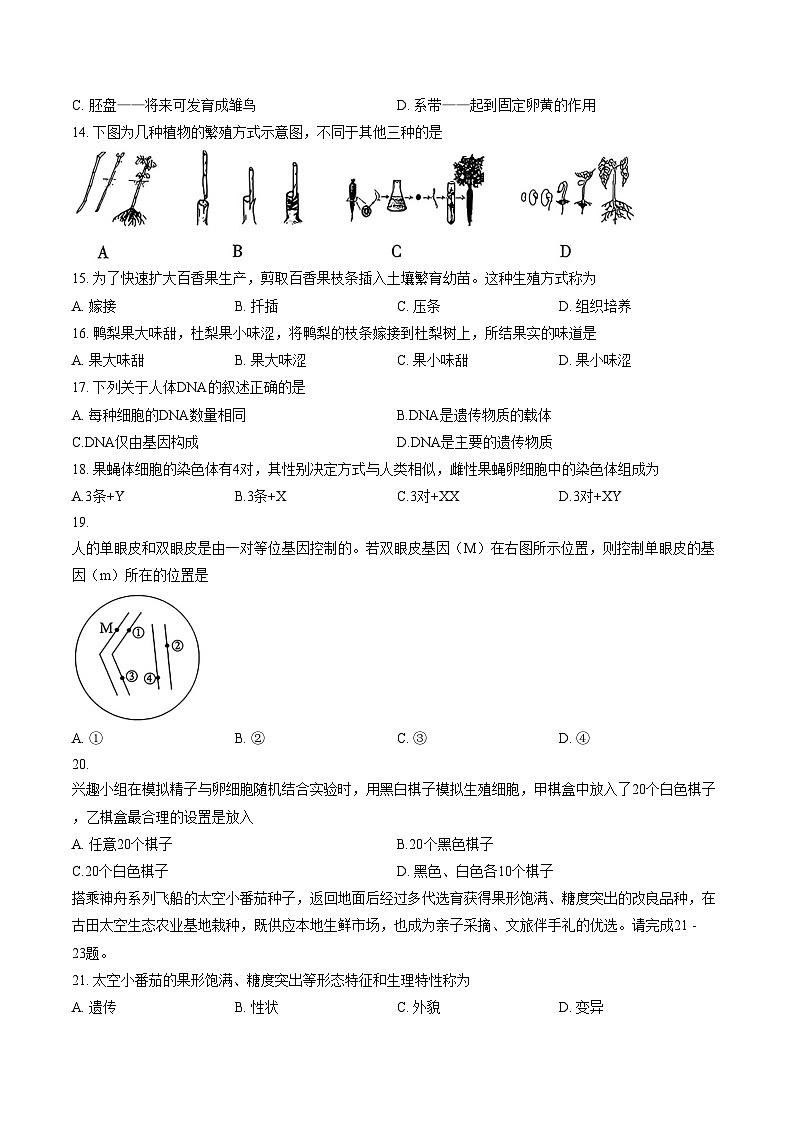 福建省龙岩市新罗区2025_2026学年八年级上学期期末考试生物试题（文字版，含答案）第3页