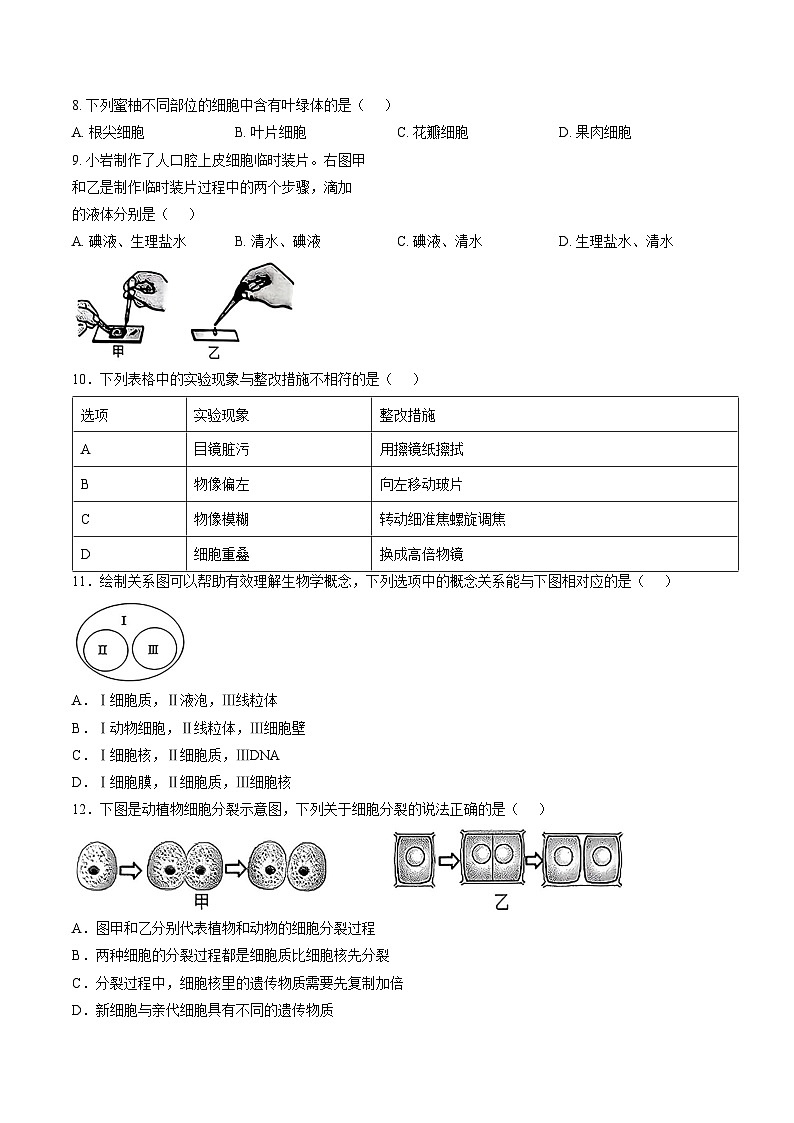 福建省龙岩市新罗区2025_2026学年七年级上学期期末考试生物试题（文字版，含答案）第2页